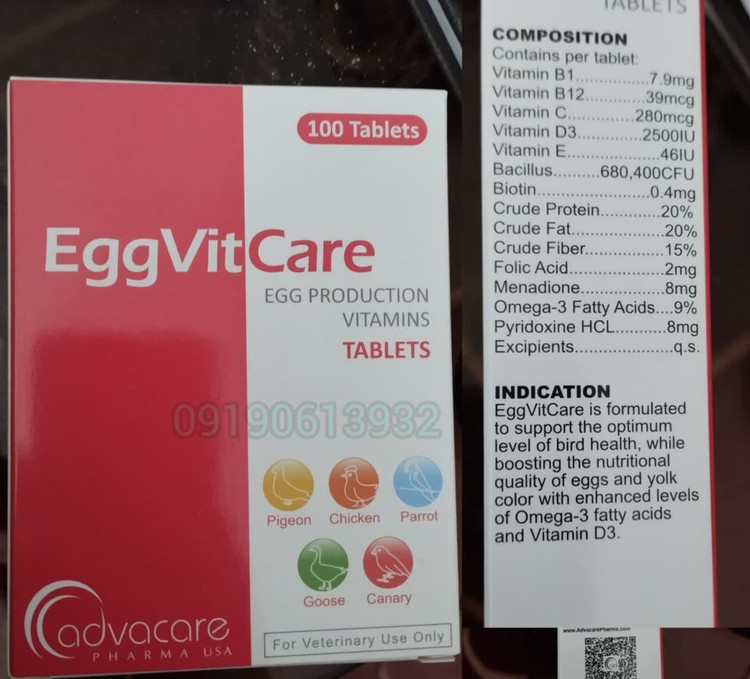 قرص اگ ویت کر eggvitcare شرکت ادواکر بسته ۱۰۰ عددی (۱۰ ورق 10 عددی) تاریخ انقضا جدید ۲۰۲۷