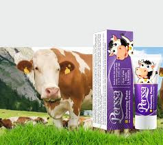 خمیر شاخ سوز پرسا