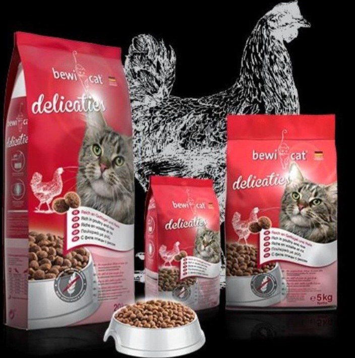 غذای خشک گربه مدل bewi cat بوی کت دلی کتیس باطعم مرغ و برنج [در بسته بندی فروشگاه وینگوشاپ